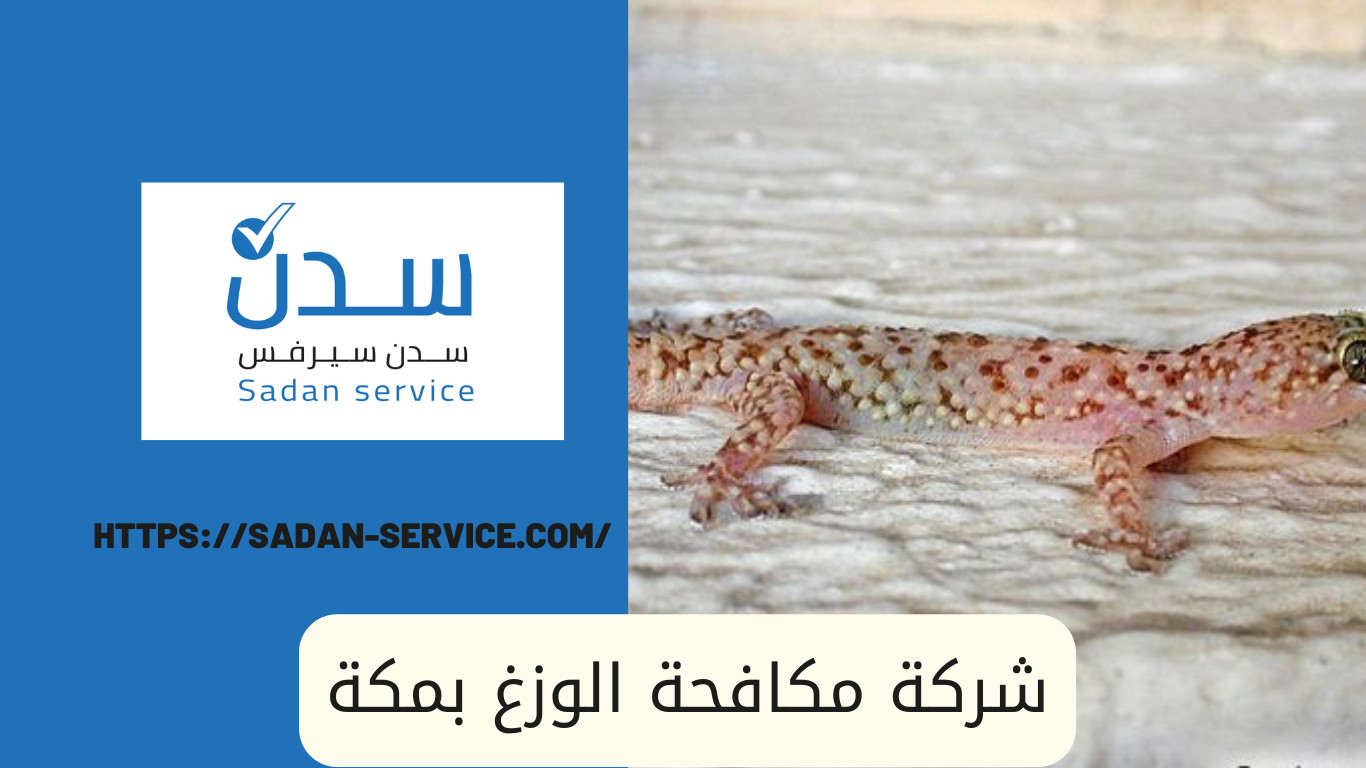 شركة مكافحة الوزغ بمكة