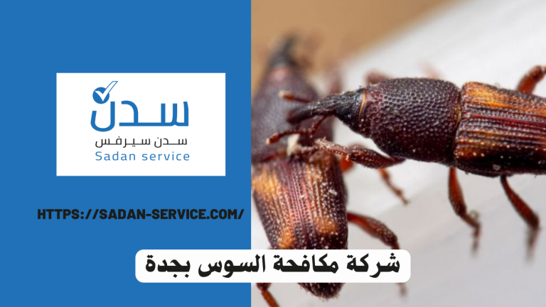 شركة مكافحة السوس بجدة