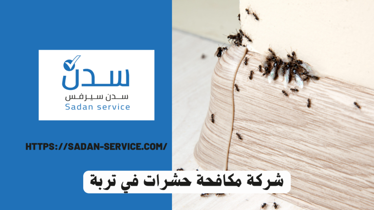 شركة مكافحة حشرات في تربة
