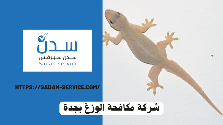 شركة مكافحة الوزغ بجدة 