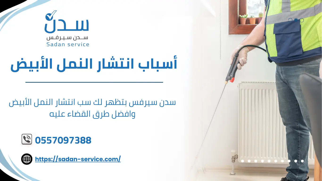 شركة مكافحة النمل الأبيض بجدة