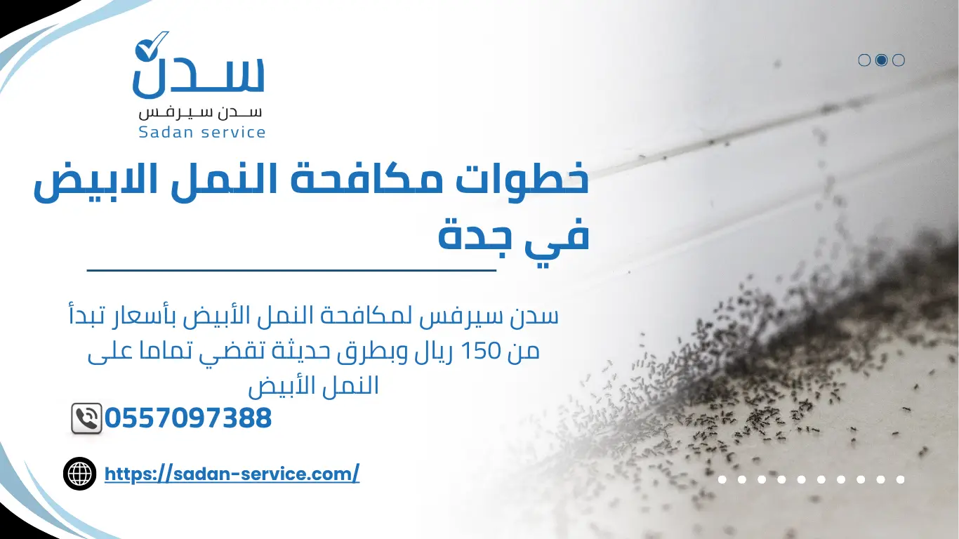 شركة مكافحة النمل الأبيض بجدة