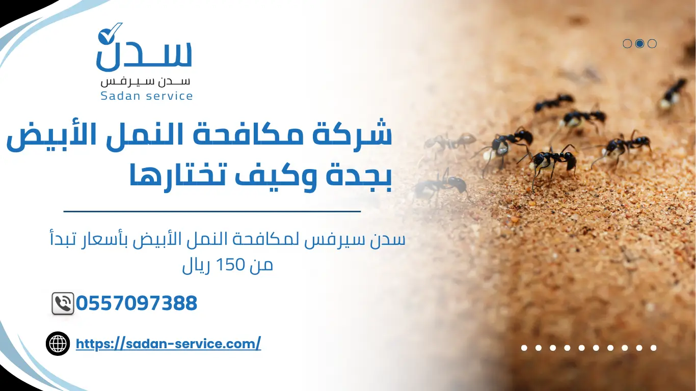 شركة مكافحة النمل الأبيض بجدة