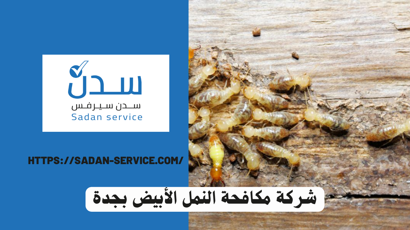 شركة مكافحة النمل الأبيض بجدة