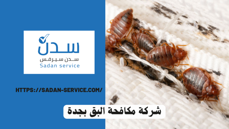شركة مكافحة البق بجدة