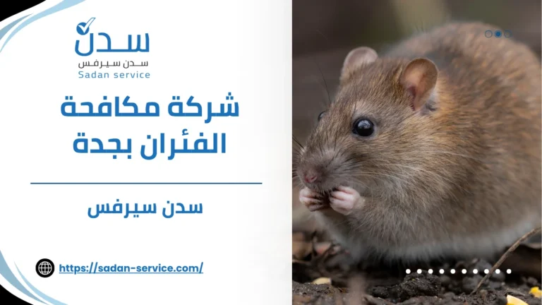 شركة مكافحة الفئران بجدة