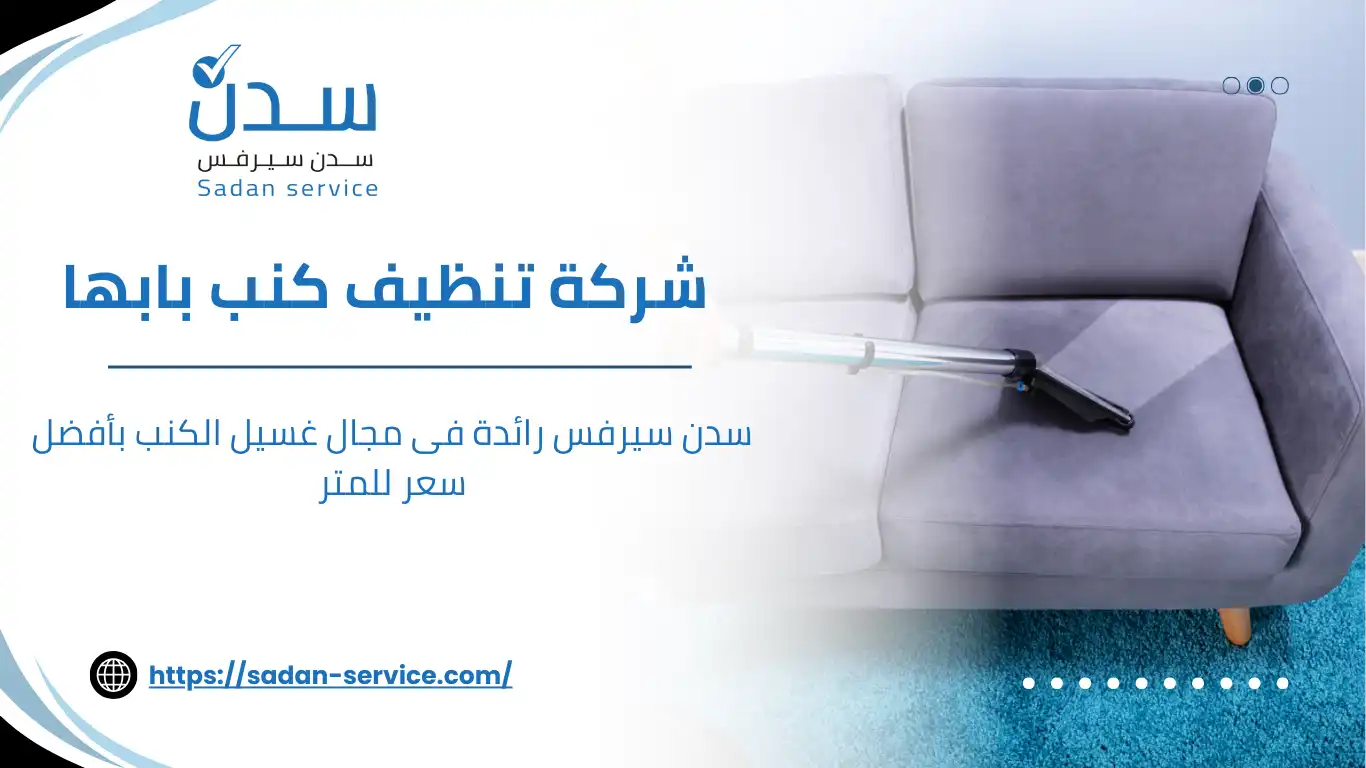 شركة تنظيف كنب بابها