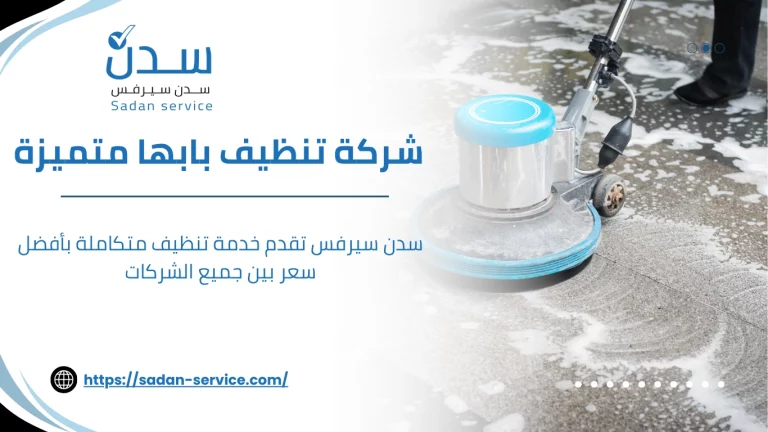 شركة تنظيف بابها