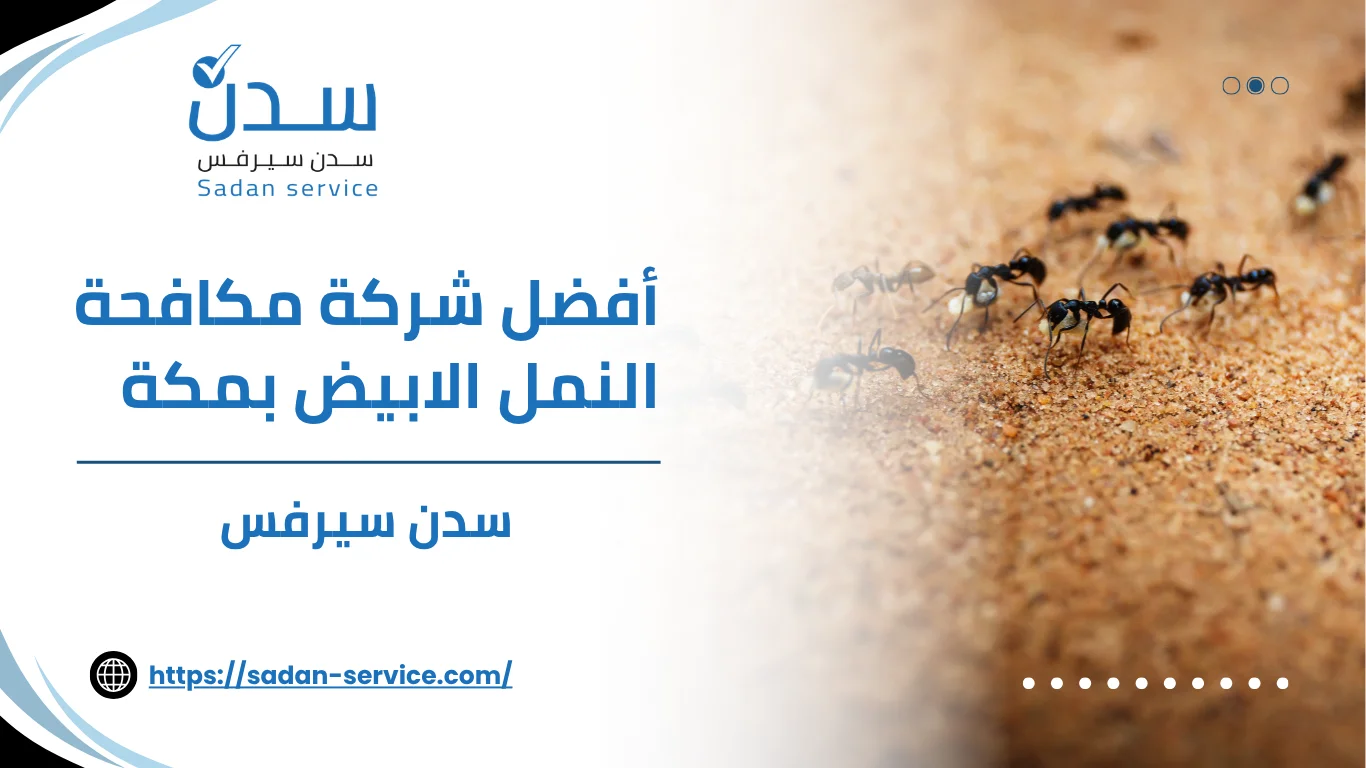 أفضل شركة مكافحة النمل الابيض بمكة
