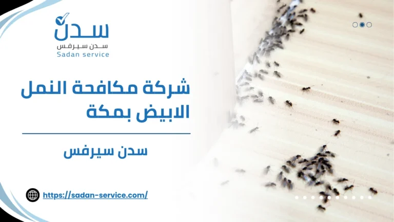 شركة مكافحة النمل الابيض بمكة