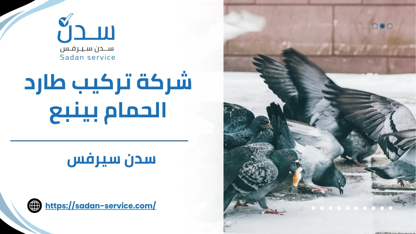 شركة تركيب طارد الحمام بينبع