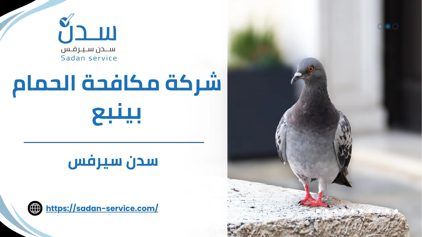 شركة مكافحة الحمام بينبع